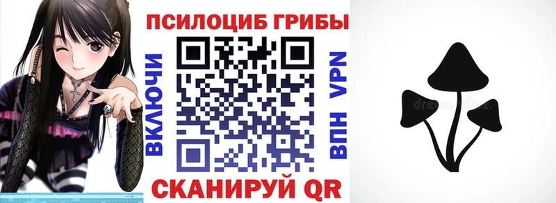 дарнет шоп Новокузнецк Галлюциногенные грибы ЛСД